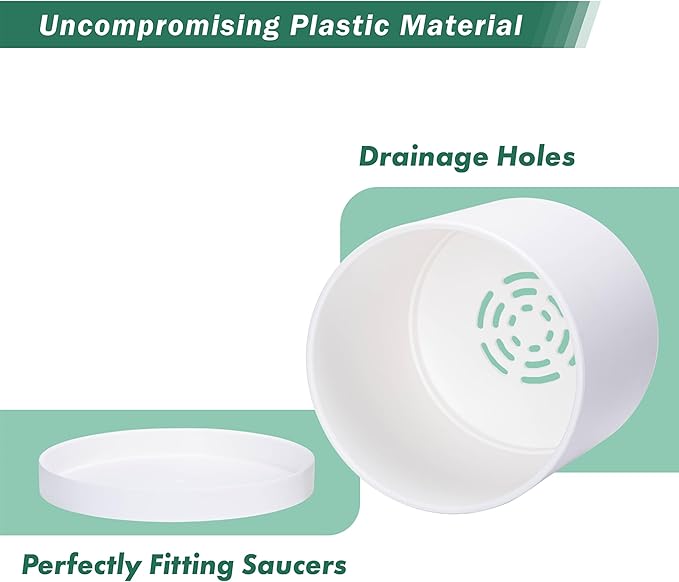 D'vine Dev 2 Pack 8 Inch Modern Plastic Plant Pots, Cylindrical Garden Planters for Plants with Drainage Holes and Saucers, White, 74-Z-M-1