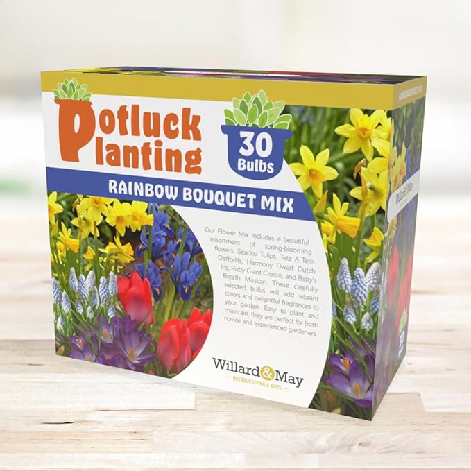 All-in-One Flower Garden Kit - 30 Bulbs Per Box - Potluck Planting Rainbow Bouquet Mix - Tulips, Daffodils, Iris, Crocus, Muscari - Live Outdoor Garden - Easy to Plant Flowers
