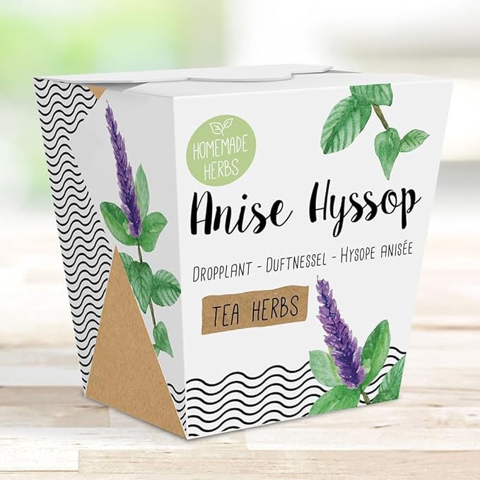 Homemade Herb Kit – All-in-One Anise Hyssop – Indoor Garden Planter - Grow Your own Tea Herbs – Live Seeds Ready to Plant – Pleasantly Scented