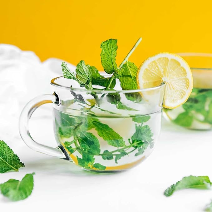 Strawberry Mint Plants. Live, Fragrant, Fresh, Edible. Easy Grow. Indoor/Outdoor. (2 Mint Bags)