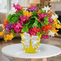 2 Random Christmas Cactus Plants Live, True Thanksgiving Cactus Live Size 6-9" Inches Tall, Ready to Blooms, Holiday Houseplant, Cold Hardy, Bloom in Winter