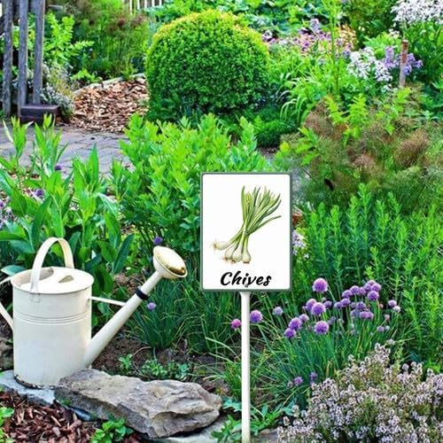 FemiaD Plant Label Signs Planted Herb Garden Markers Waterproof Aluminum Plant Stake Tags Chives Sign for Nursery Indoor Outdoor Garden Decoration 7x8.8inch