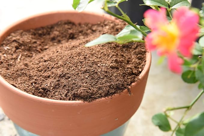 Organic Sphagnum Peat Moss by Perfect Plants - 4 Dry Quarts Absorbs Essential Nutrients When Added to Soil and Enriches Plant Roots - Indoor and Outdoor Use