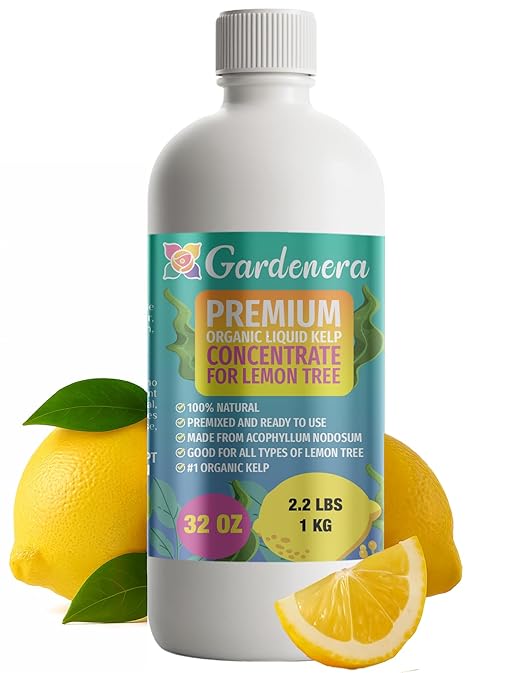 GARDENERA Premium Organic Seaweed & Kelp Superfood for Lemon Plants - 32 oz - Liquid Kelp Fertilizer Concentrate (Makes 180 Gallons)