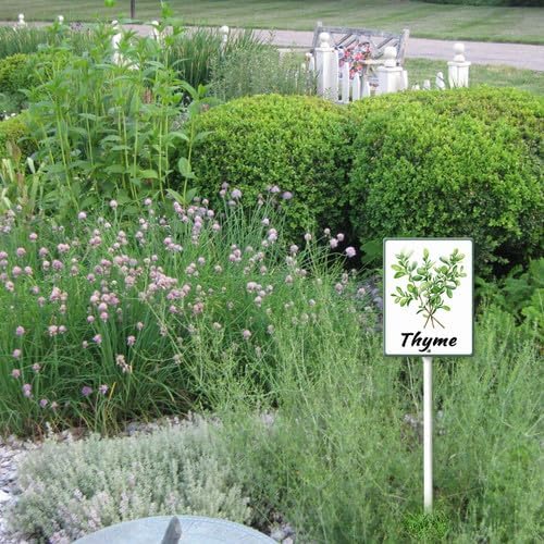 FemiaD Plant Label Signs Planted Herb Garden Markers Waterproof Aluminum Plant Stake Tags Thyme Sign for Nursery Indoor Outdoor Garden Decoration 4.6x6inch