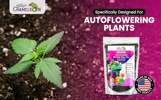 Organic Autoflower Potting Soil Mix – Ready-to-Use Living Soil, No Fertilizers Needed – Balanced Nutrients, Light Texture, Excellent Drainage, Boosts Germination & Root Growth (4 QUARTS)