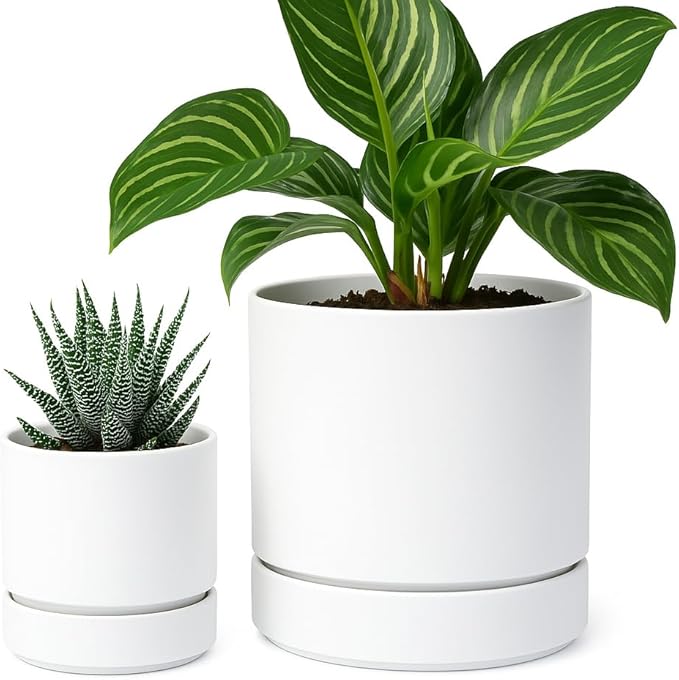 Phoenix Vine 4 Inch and 6 Inch Planter Pot with Drainage Hole & Deep Water Catch Tray Saucer, Straight Cylindrical Round Pot for Plants, Matte White, 23-A-1-Z