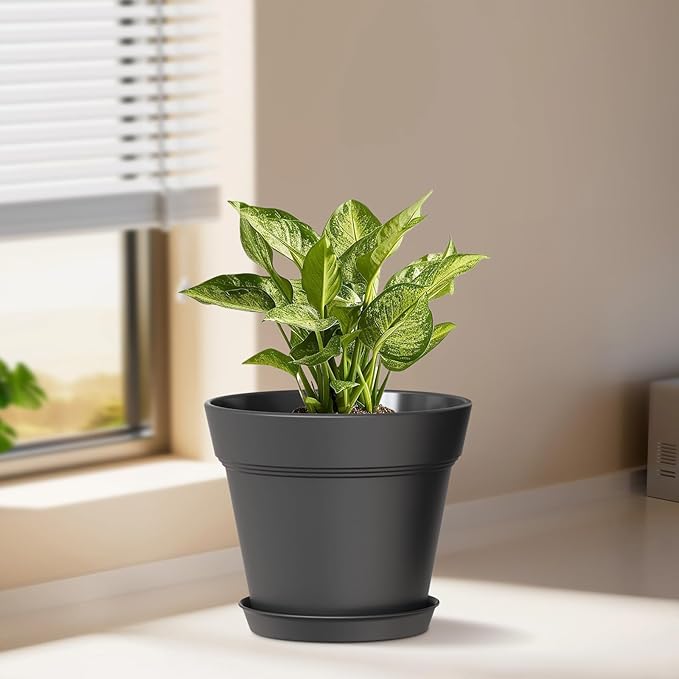 6 Inch Thick Plastic Plant Pots with Drainage Holes and Trays – 6 Pack Nursery Pots for Indoor & Outdoor House Plants, Seedling Starter Planters for Garden Flowers, Matte Black