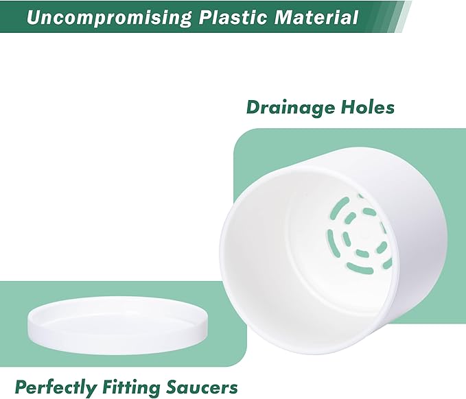 D'vine Dev 6 Pack 4.5 Inch Modern Plastic Plant Pots, Small Garden Planters for Plant with Drainage Holes and Saucers, White Color, 74-Z-F-3