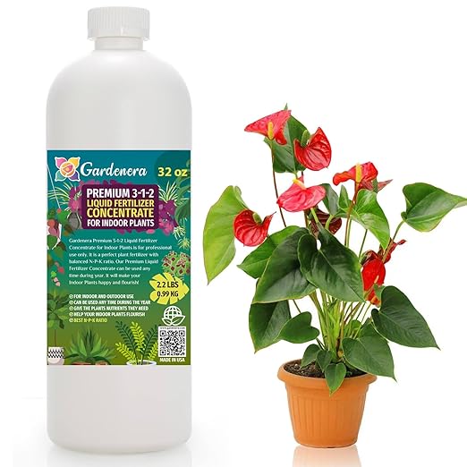 𝐏𝐑𝐎𝐅𝐄𝐒𝐒𝐈𝐎𝐍𝐀𝐋 3-1-2 All-Purpose Liquid Fertilizer Concentrate for All Indoor Plants & Flowers - Multi-Purpose Organic Blend for Indoor Growing [32 OZ]