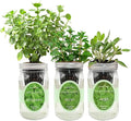 Hydroponic Herb Growing Kit Set, Self-Watering Mason Jar Herb Garden Starter Kit Indoor, Windowsill Herbs Garden. Grow Your Own Herbs from Organic Seeds (Mint, Sage, Oregano)