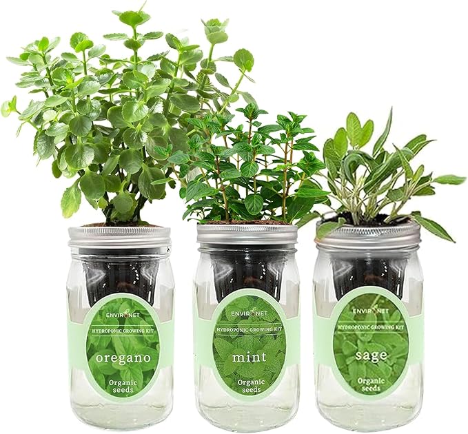 Hydroponic Herb Growing Kit Set, Self-Watering Mason Jar Herb Garden Starter Kit Indoor, Windowsill Herbs Garden. Grow Your Own Herbs from Organic Seeds (Mint, Sage, Oregano)