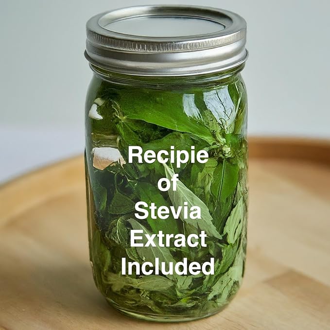 Live Stevia rebaudiana Plants, Sweet Leaf or Sugar Leaf, Natural Sugar Substitute Herb, Easy to Grow (4 stevia Cups)