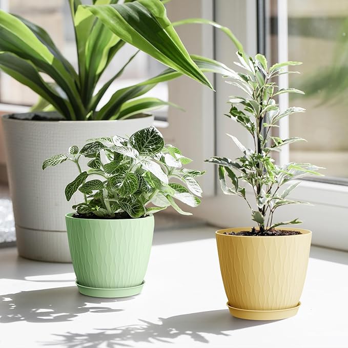 6 Inch Plant Pots, 6 Pack Flower Pots for Indoor and Outdoor Use, Planters with Drainage Holes and Saucers, Colorful