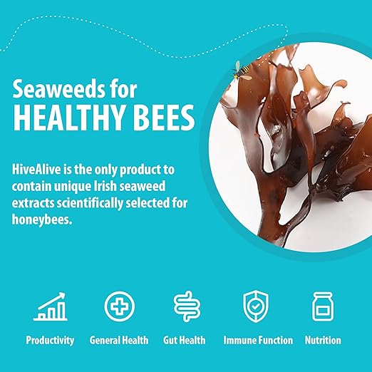 HIVE ALIVE Liquid Concentrate Bee Feed Supplement - Honey Bee Liquid Food Stimulant - Beekeeping Fall Spring Feeding Enhancer, Lowers Winter Mortality, Boost Gut Health, Colony Size - 100 ml, 10 Hives