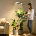 Wood Grain Grow Lights for Indoor Plants Plant Growing Lamp, Full Spectrum Plant Lights for Indoor Growing (Wood Color Without Base, 1 Pack)