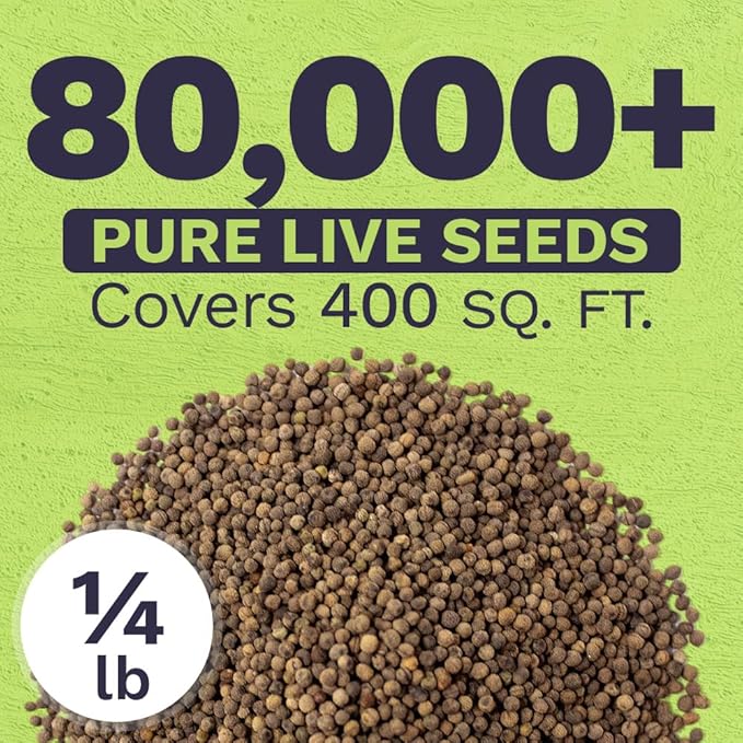 California Orange Poppy Wildflower Seeds - Bulk 1/4 Pound Bag - Over 80,000 Native Seeds - California State Flower!