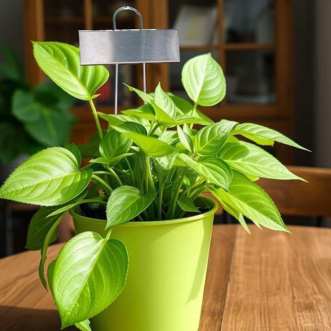 Plant Labels Metal Stainless Steel Garden Plant Markers Weatherproof Garden Stake Tag Plant Tags with Pen for Outdoor Seedling Flower Herb Vegetable Greenhouse(30 Pack) (Stainless Steel)