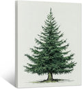 Framed Christmas Pictures Wall Decor,Vintage Pine Tree Prints,Winter Christmas Canvas Wall Art Decoration for Bedroom Bathroom Living Room Rustic Xmas Holiday Gifts (Christmas Tree 5, 24'' X 36'')