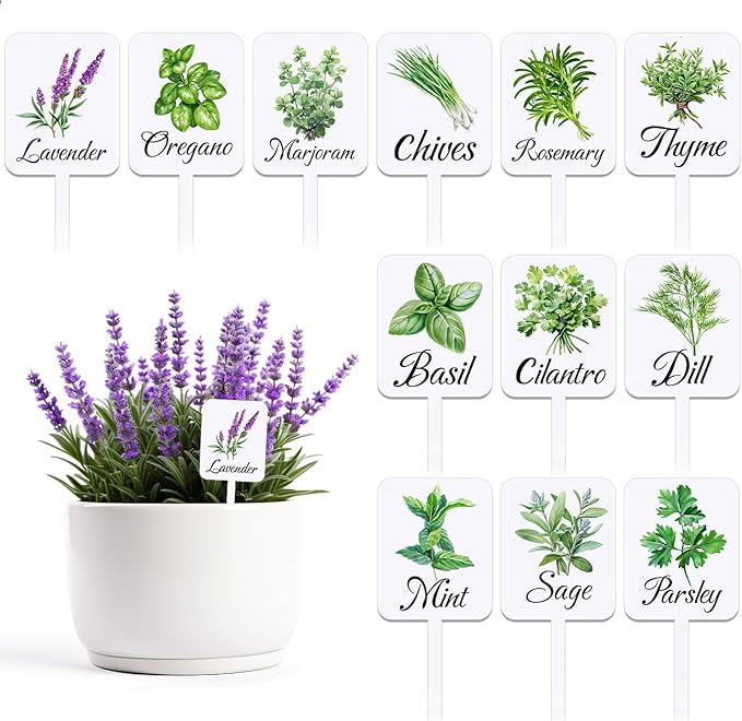 12Pcs Herb Garden Signs - 12 Styles Plant Labels with Names for Vegetables, Indoor/Outdoor Garden Decoration