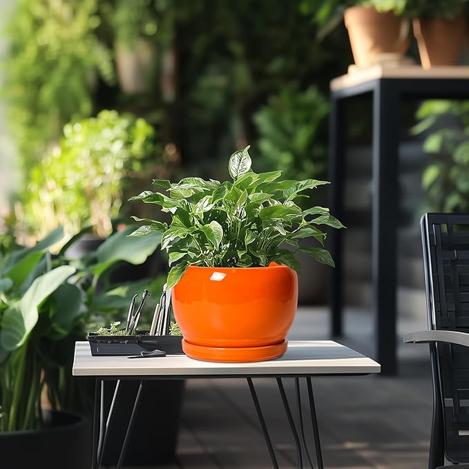 SQOWL Ceramic Pot for Plants - 8 Inch Plant Pot Indoor Outdoor, Modern Round Planter with Drainage Hole and Saucer, Decorative Planter for Flower, Office Decor, Garden Gifts for Women, Orange