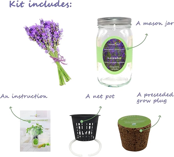 Hydroponic Herb Growing Kit, Self-Watering Mason Jar Herb Garden Starter Kit Indoor, Windowsill Herbs Garden, Grow Your Own Herbs from Organic Seeds (Lavender)