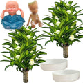 Brazilian Lucky Wood Plant, Brazilian Wood with Energy Crystals, Low-Light Office, Bedroom Decor, Home Good Luck Decor (Blue+Little People)
