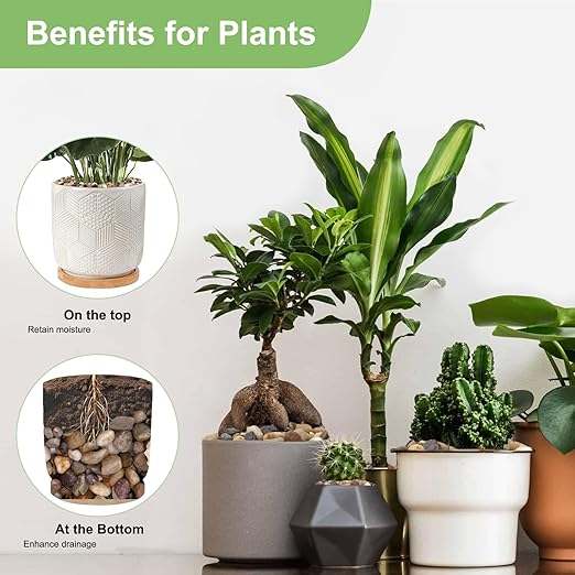 2.5 lbs Drainage Rocks for Potted Plants, 1/5 Inch Small Pebbles for Indoor Plants, Decorative Gravel for Vases, Bamboo, Succulent, Terrarium, Crafts, Cactus