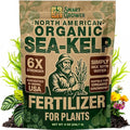 Organic Sea Kelp Fertilizer for Plants – Water-Soluble – Makes 200 Gallons – Kelp Meal Concentrate Plant Food – for Indoor Gardens, Hydroponics, Vegetables, Houseplants - Smart Grower - 8oz Bag