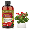 Gardenera Premium Liquid ANTHURIUM Fertilizer - 3-1-2 Concentrate for Indoor Plants and Flowers - Organic Plant Food - 8oz