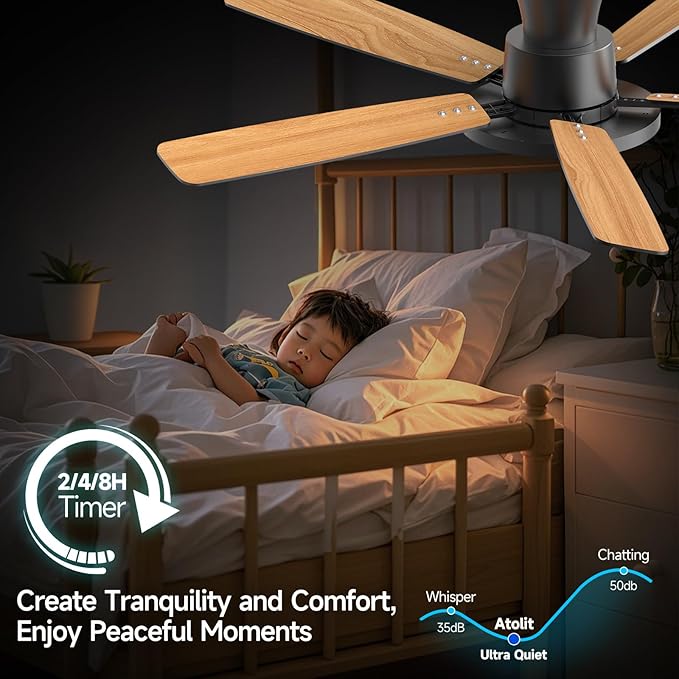 Ceiling Fans with Lights,52 inch,Quiet,Reversible Motor,Dimmable, Adjustable Color Temperature,6 Speeds,Timer, Low Profile Ceiling Fan for Bedroom,Living Room,Indoor/Outdoor Use (Black)