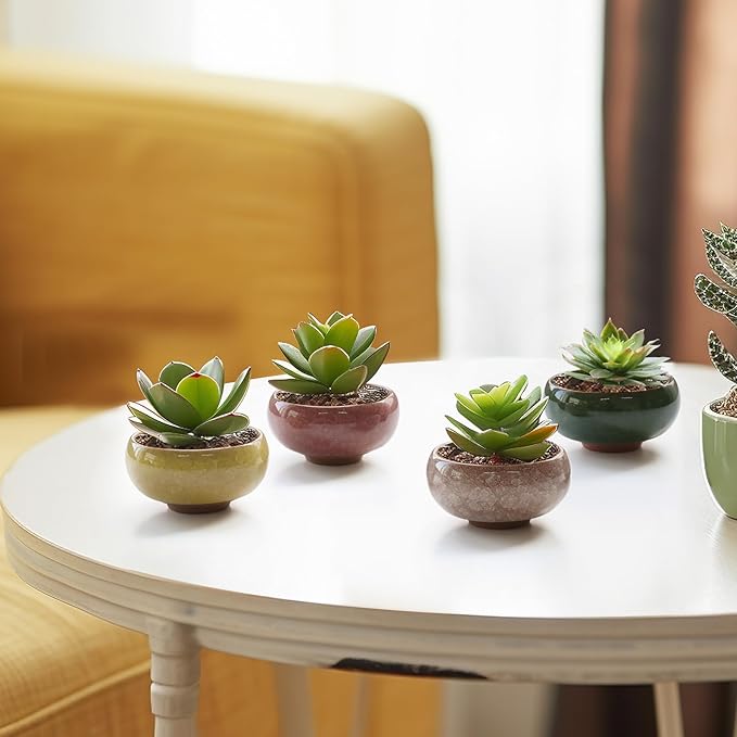 T4U 2.5 Inch Small Ceramic Succulent Planter Pot with Drainage Hole Set of 12, Ice Crack Glaze Plant Container for Cactus, Plant Lover Gifts for Women Mom Aunt Home Office Decor