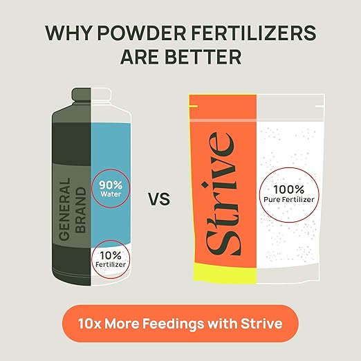 Strive Fertilizer Starter Kit Combo - Veg + Bloom General Hydroponic Nutrients - Indoor, Outdoor and Soil Growing Plant Food - Booster for Vegetables, Succulents, Flowers (Trial Combo 300 Grams)