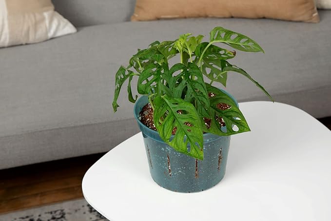 rePotme Monstera Potting Soil - Imperial Houseplant Mix - Mini Bag (2 Quarts) - Great Potting Mix for Indoor Plants