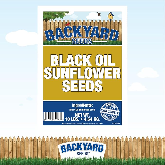 CountryMax Backyard Seeds Black Oil Sunflower (10 Pounds)