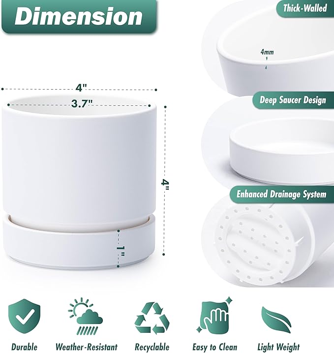 Phoenix Vine 4 Inch Planter Pot with Drainage Hole & Saucer, Deep Water Catch Tray, Straight Cylindrical Round Pot for Plants, Matte White, Pack of 2, 23-B-R-2