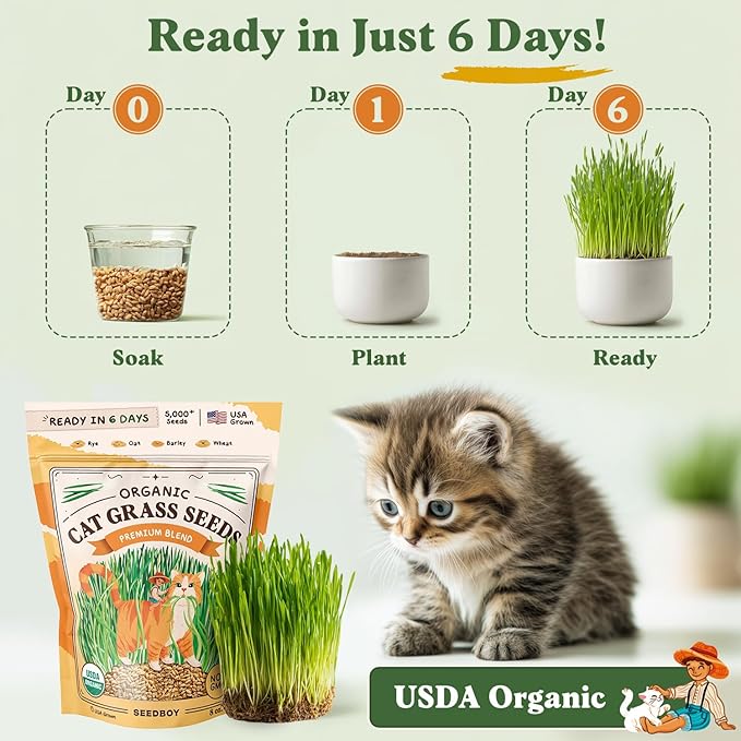 Seedboy Organic Cat Grass Seeds for Planting, Non-GMO Wheat, Oat, Rye, and Barley Cat Grass for Indoor Cats (8 oz)