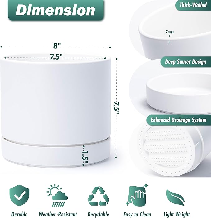 Phoenix Vine 8 Inch Planter Pot with Drainage Hole & Saucer, Deep Water Catch Tray, Straight Cylindrical Round Pot for Plants, Matte White, Pack of 2, 23-B-T-2