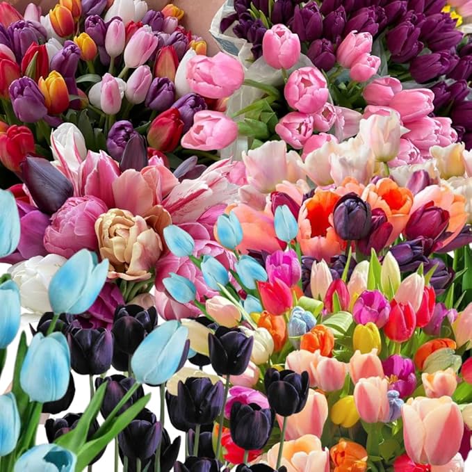 20 Tulip Bulbs for Fall Planting, Top Size Tulips Bulbs Perennial Flowers, Vibrant Spring Blooms, Easy Fall Planting (Mix Rare Tulip)