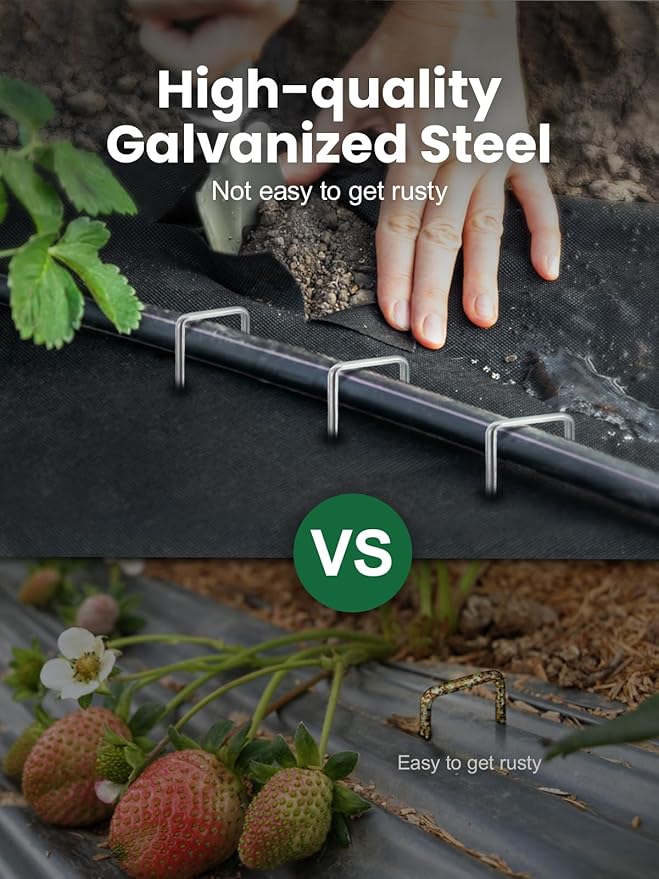 GROWNEER Landscape Staples Anti-Rust, 6 inch 200pcs Garden Staples, Galvanized Tent Stakes SOD Pins Yard Stakes for Securing Weed Fabric Barrier, Ground Cover, Artificial Turf, Dog Fence