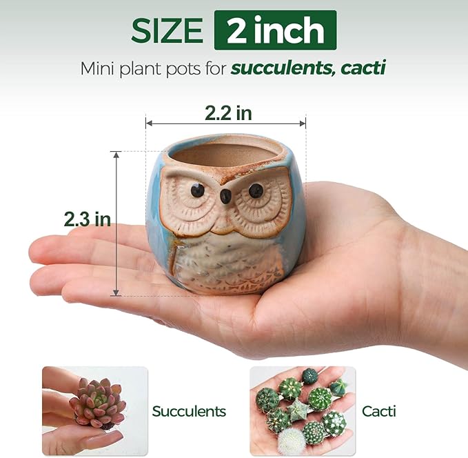 T4U 2.5 Inch Owl Ceramic Succulent Planter Pots with Drainage Hole Set of 6, Mini Cute Flower Pots Tiny Plant Holder Container Best for Home Office Garden Decoration Owl Gift Ideas