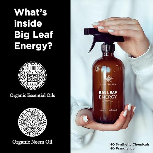 Big Leaf Energy (16 FL OZ, Glass) Organic Neem Oil Plant Spray with Essential Oils : Natural Plant Wash for Indoor Houseplants and Outdoor Gardens