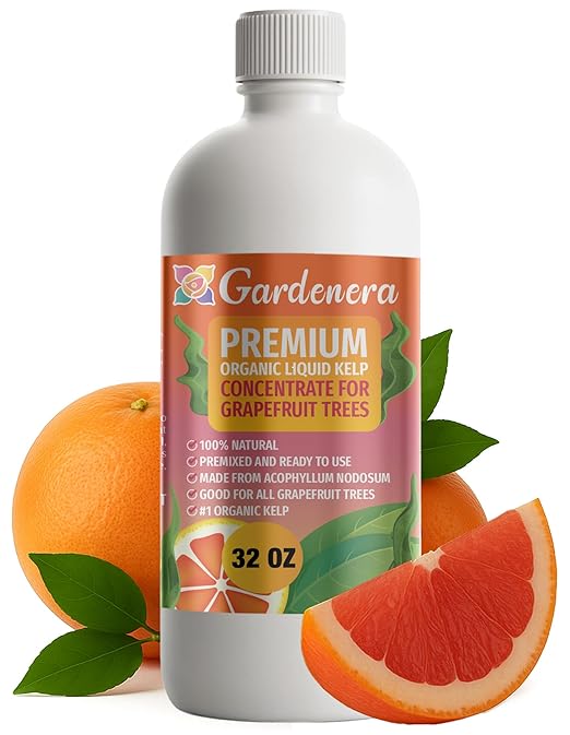 GARDENERA Premium Organic Seaweed & Kelp Superfood for Grapefruit Plants - 32 oz - Liquid Kelp Fertilizer Concentrate (Makes 180 Gallons)