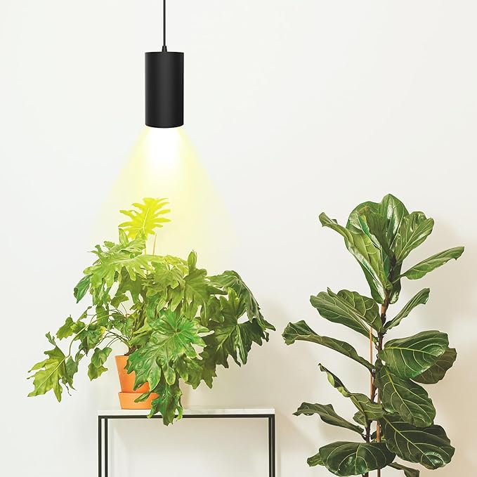 STERREN Hanging Grow Lights,Plug in Pendant Light for Indoor Plants,Full Spectrum Plant Light with ON/Off Switch, Auto Timer Decorative LED Grow Light with 21 FT Power Cord