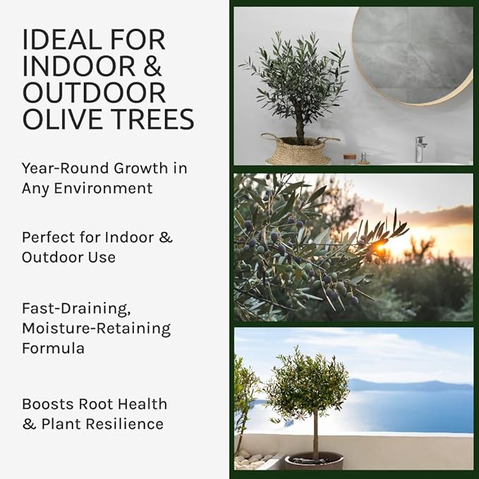 Organic Olive Tree Potting Mix – Fast-Draining, Nutrient-Rich Soil for Indoor & Outdoor Olive Trees – Mediterranean Plant Care – Long-Lasting Formula (1 Quart)