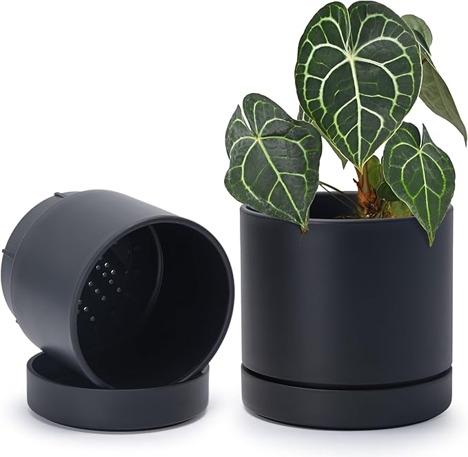 Phoenix Vine 6 Inch Planter Pot with Drainage Hole & Saucer, Deep Water Catch Tray, Straight Cylindrical Round Pot for Plants, Matte Black, Pack of 2, 23-C-S-2