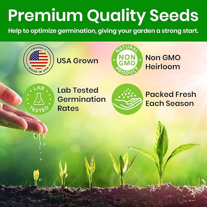 Lettuce Seeds for Planting, Red Romaine Lettuce, Bibb Butter Lettuce, Black Seeded Simpson, Green Ice Iceberg Lettuce, Non-GMO…