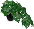 DILATATA Fake Plants Indoor 9 Inch Artificial Monstera Plant in Black Plastic Pot - Faux Potted Tropical Palm Plant for Home Aesthetic Decor Living Room Shelf Office