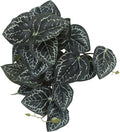 IBWell Fake Reptile Plants for Reptile Terrarium Plants, Reptile Plant Décor, Turtle Tank Plants with Suction Cup