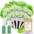 12 Pods Gourmet Herb Seed Kit Compatible with All Hydroponics, Growing Kit with Nutrient Solution, Seeds & Grow Sponges – Indoor Garden for Fresh Herbs & Vegetables (Nutrient & Salad Mixed Seed)